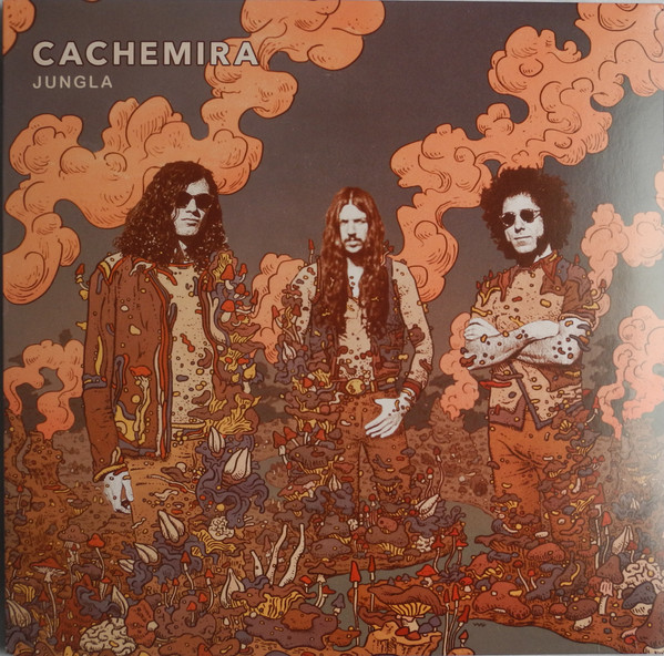 CACHEMIRA – CACHEMIRA – JUNGLA