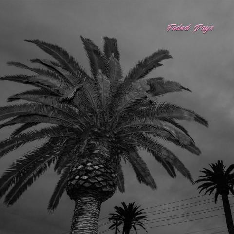 ACTUAL WOLF – ACTUAL WOLF – FADED DAYS