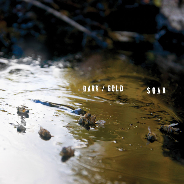 SOAR – SOAR – DARK / GOLD