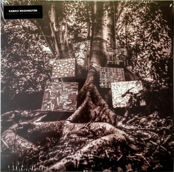 WASHINGTON, KAMASI – WASHINGTON, KAMASI – HARMONY OF DIFFERENCE