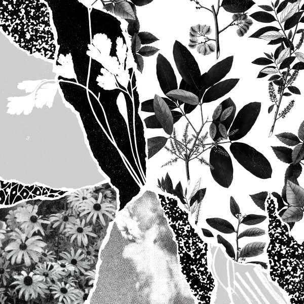 PONCTUATION – PONCTUATION – MON HERBIER DU MONDE E...