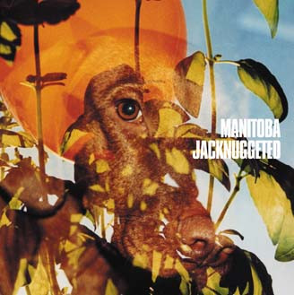 CARIBOU – CARIBOU – JACKNUGGETED
