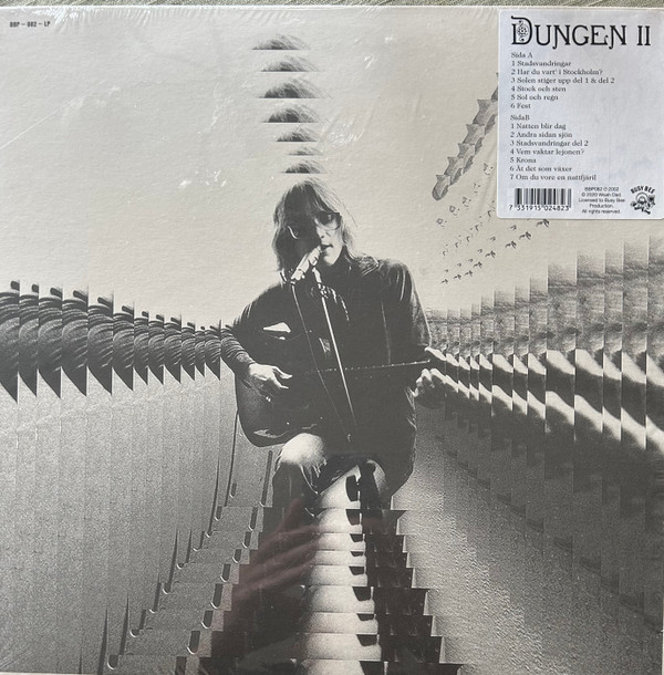DUNGEN – DUNGEN – II