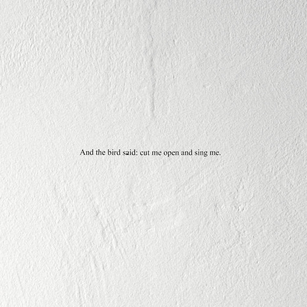 PRAIRIE – PRAIRIE – AND THE BIRD SAID: CUT... .. SAID: CUT ME OPEN AND SING ME / 180GR.
