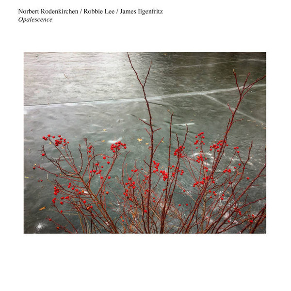 RODENKIRCHEN, NORBERT – RODENKIRCHEN, NORBERT – OPALESCENCE W/ ROBBIE LEE/JAMES ILGENFRITZ