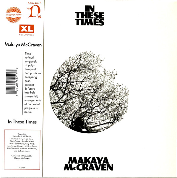 MCCRAVEN, MAKAYA – MCCRAVEN, MAKAYA – IN THESE TIMES