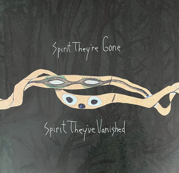 ANIMAL COLLECTIVE – ANIMAL COLLECTIVE – SPIRIT THEY'RE GONE, S... .. THEY'RE GONE, SPIRIT THEY'VE VANISHED