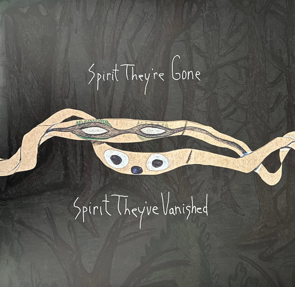 ANIMAL COLLECTIVE – ANIMAL COLLECTIVE – SPIRIT THEY'RE GONE, S... .. THEY'RE GONE, SPIRIT THEY'VE VANISHED / GREEN VINYL