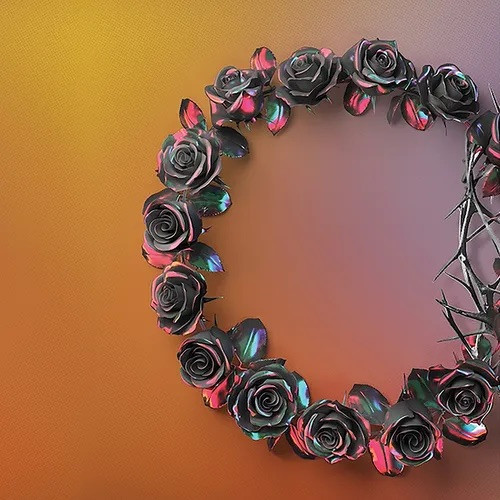 ROSE – ROSE – DUAL WHITE