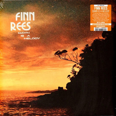 REES, FINN – REES, FINN – DAWN IS A MELODY ORANGE