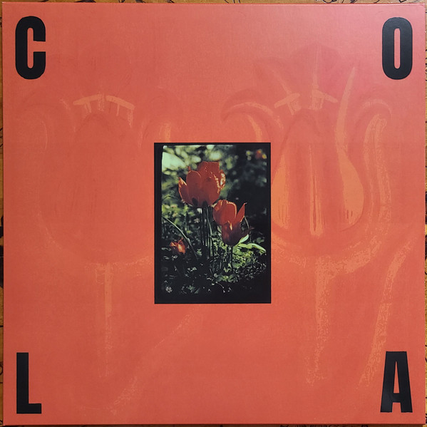 COLA – COLA – GLOSS ORANGE