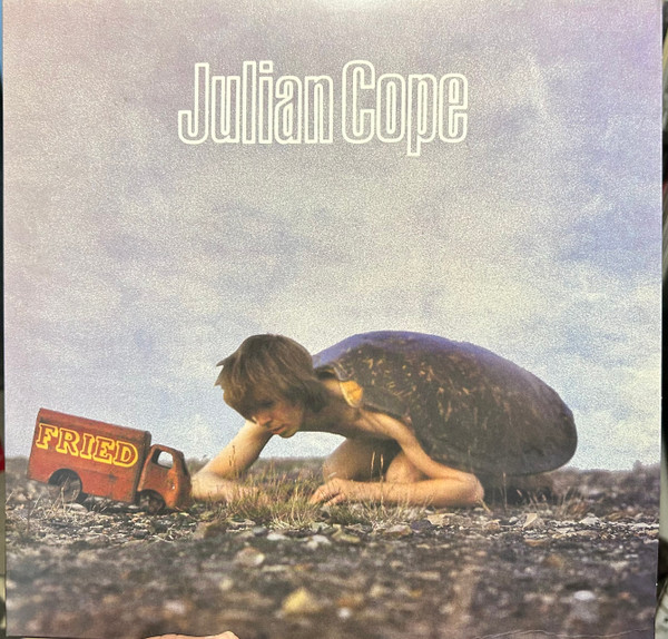 COPE, JULIAN – COPE, JULIAN – FRIED 180G