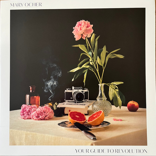 OCHER, MARY – OCHER, MARY – YOUR GUIDE TO REVOLUTION
