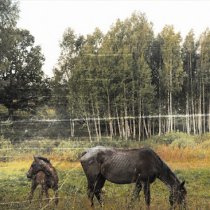 PIANOS BECOME THE TEETH – PIANOS BECOME THE TEETH – OLD PRIDE