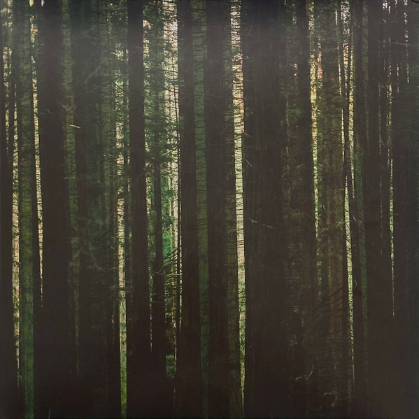 PAPER KITES – PAPER KITES – EVERGREEN GREEN MARBLE