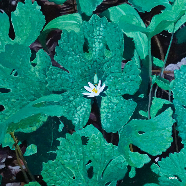 EARLY FERN – EARLY FERN – WETLAND INTERIORS