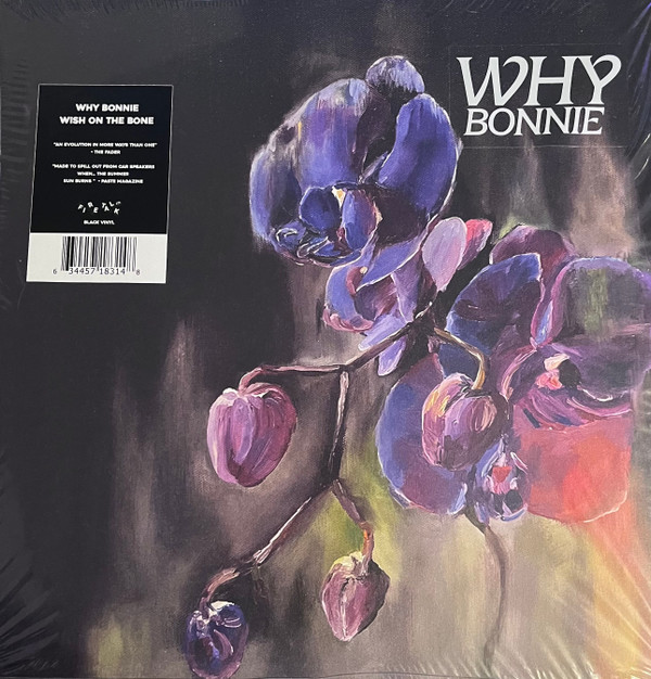 WHY BONNIE – WHY BONNIE – WISH ON THE BONE LYRICS