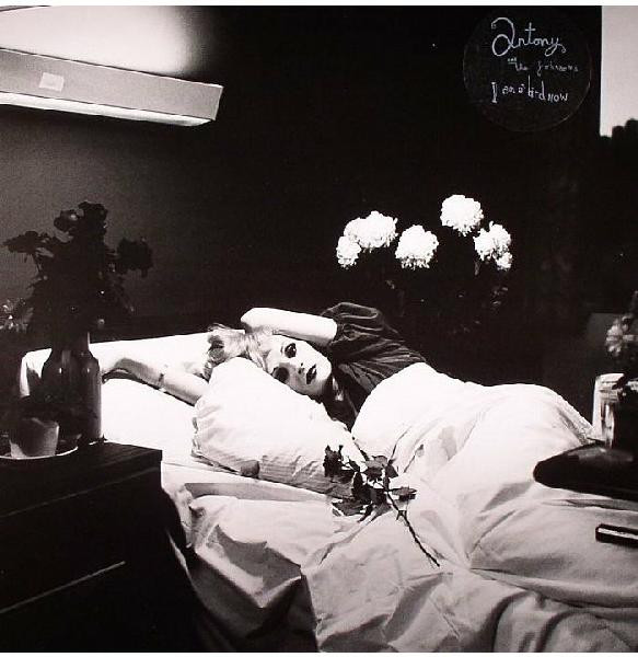 ANTONY AND THE JOHNSONS – ANTONY AND THE JOHNSONS – I AM A BIRD NOW