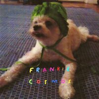 COSMOS, FRANKIE – COSMOS, FRANKIE – ZENTROPY