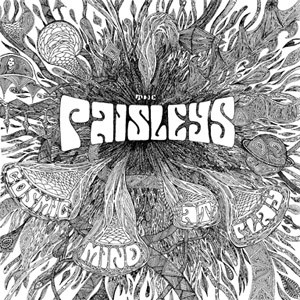 PAISLEYS – PAISLEYS – COSMIC MIND AT PLAY .. AT PLAY
