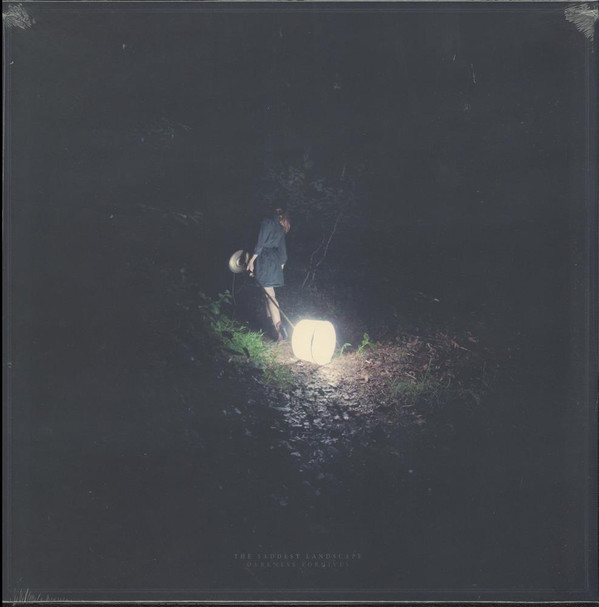 SADDEST LANDSCAPE – SADDEST LANDSCAPE – DARKNESS FORGIVES