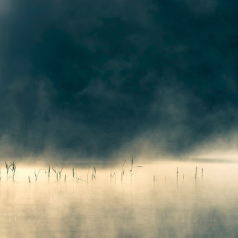 ONEIROGEN – ONEIROGEN – CONVIVIUM 180GR.