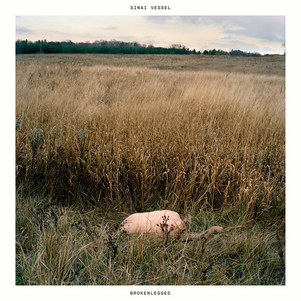 SINAI VESSEL – SINAI VESSEL – BROKENLEGGED